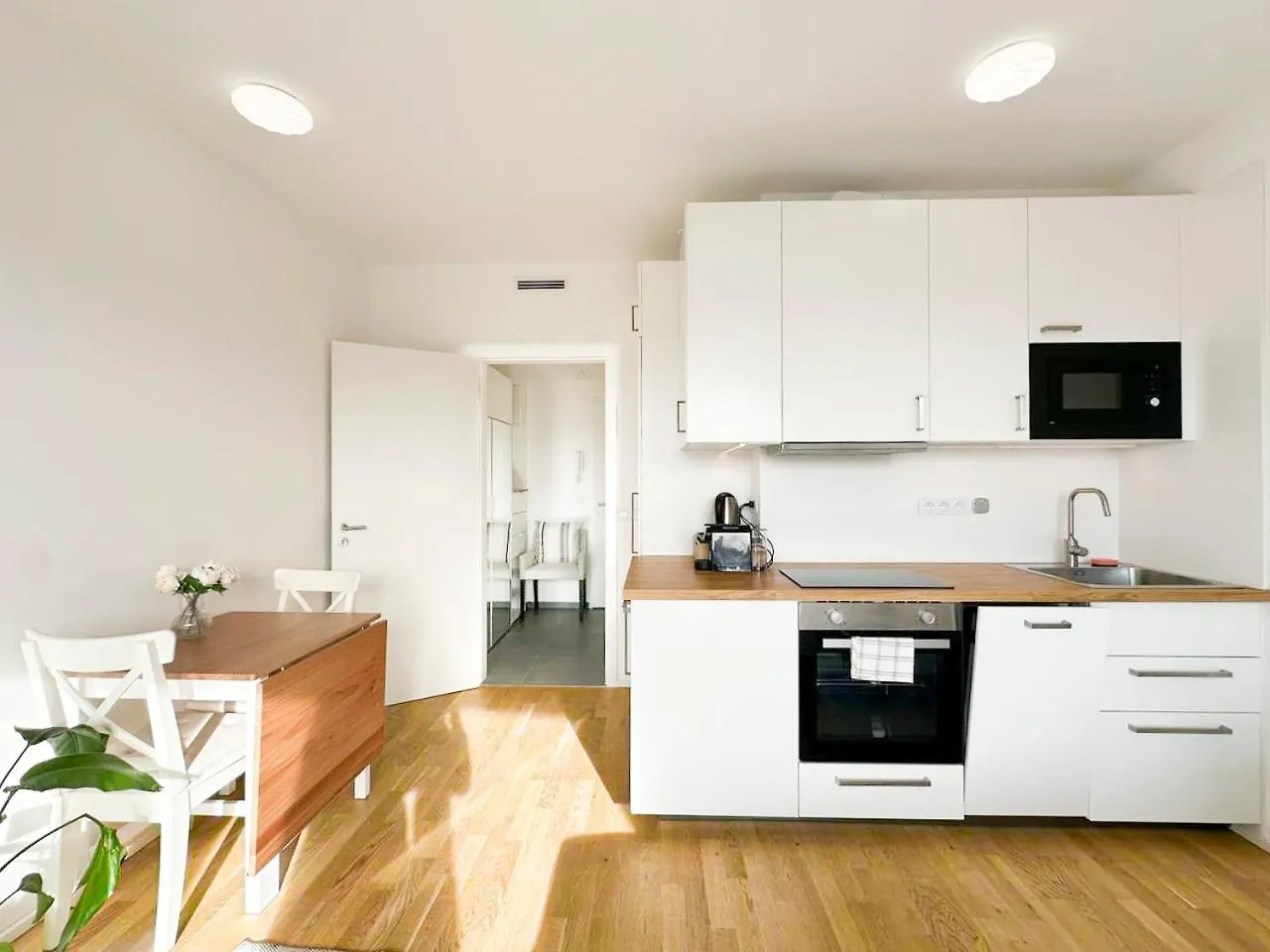 Apartment Vila Vinice Prague