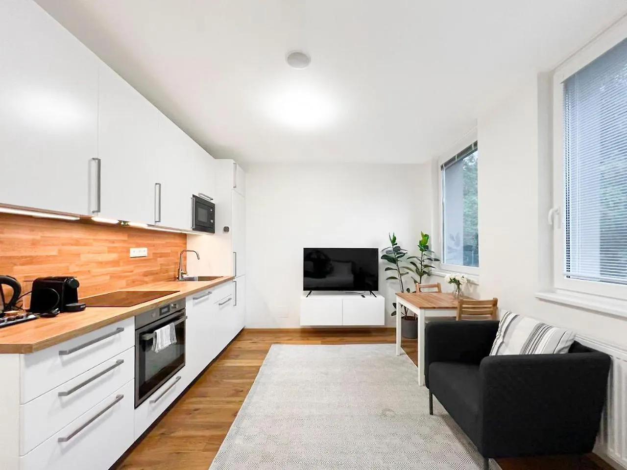 Apartament Vila Vinice Praga Czechy