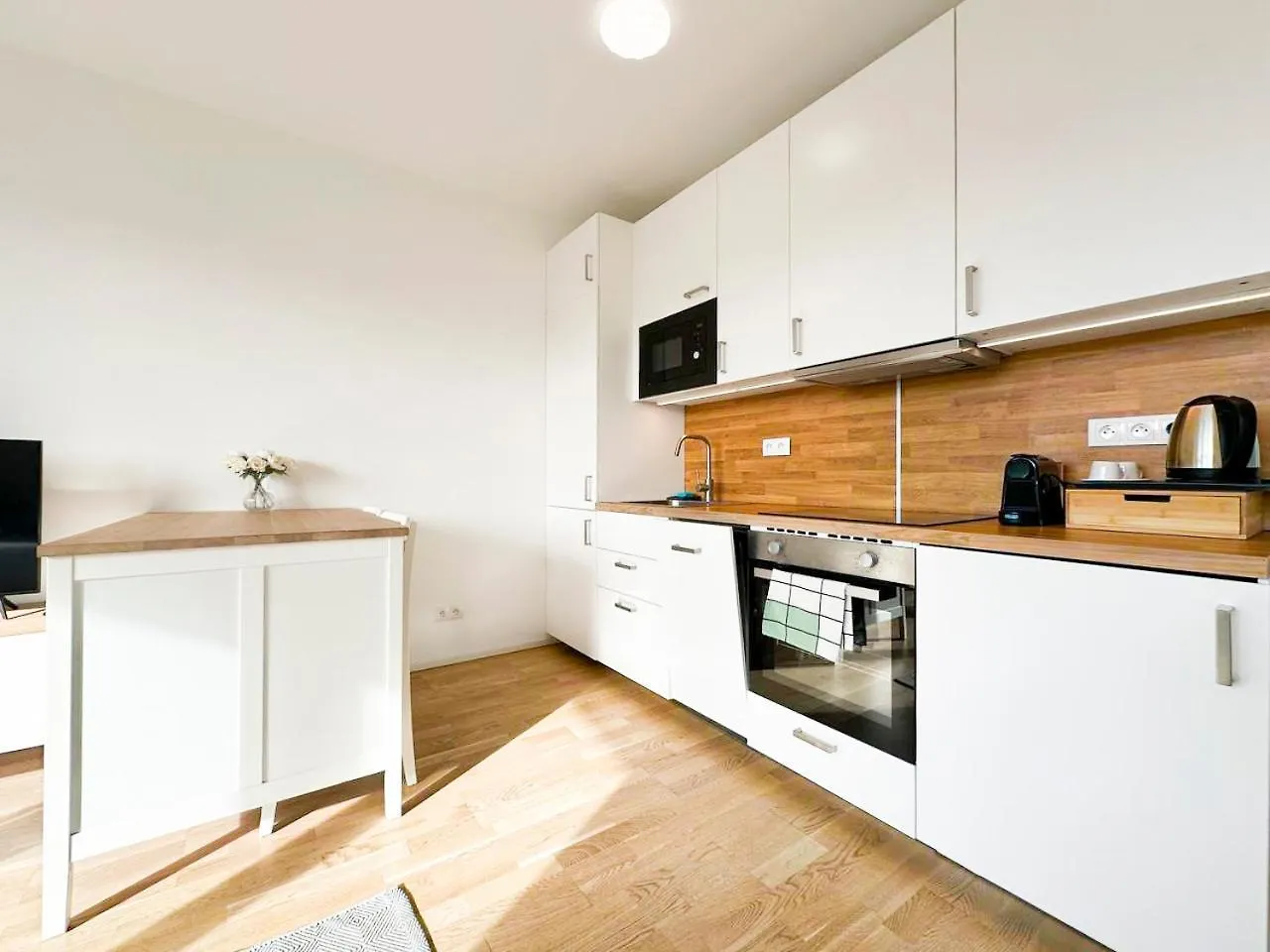 Vila Vinice Praga Czechy