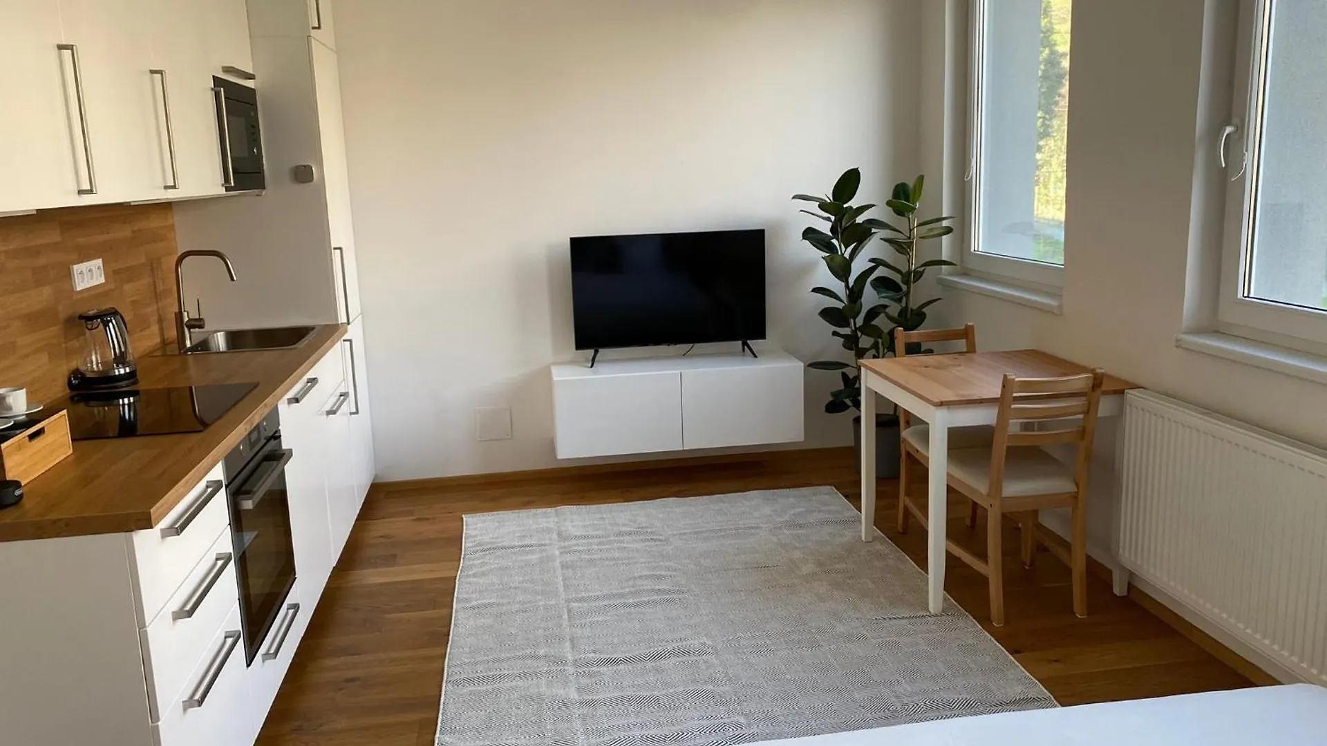 Apartament Vila Vinice Praga